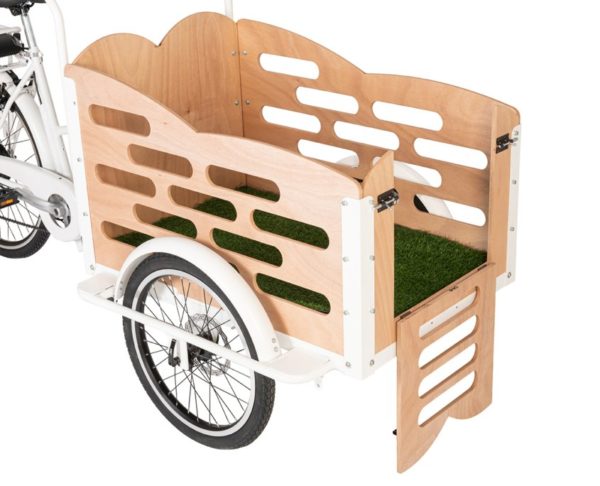 greenbike pesaro-cargo bike per cani