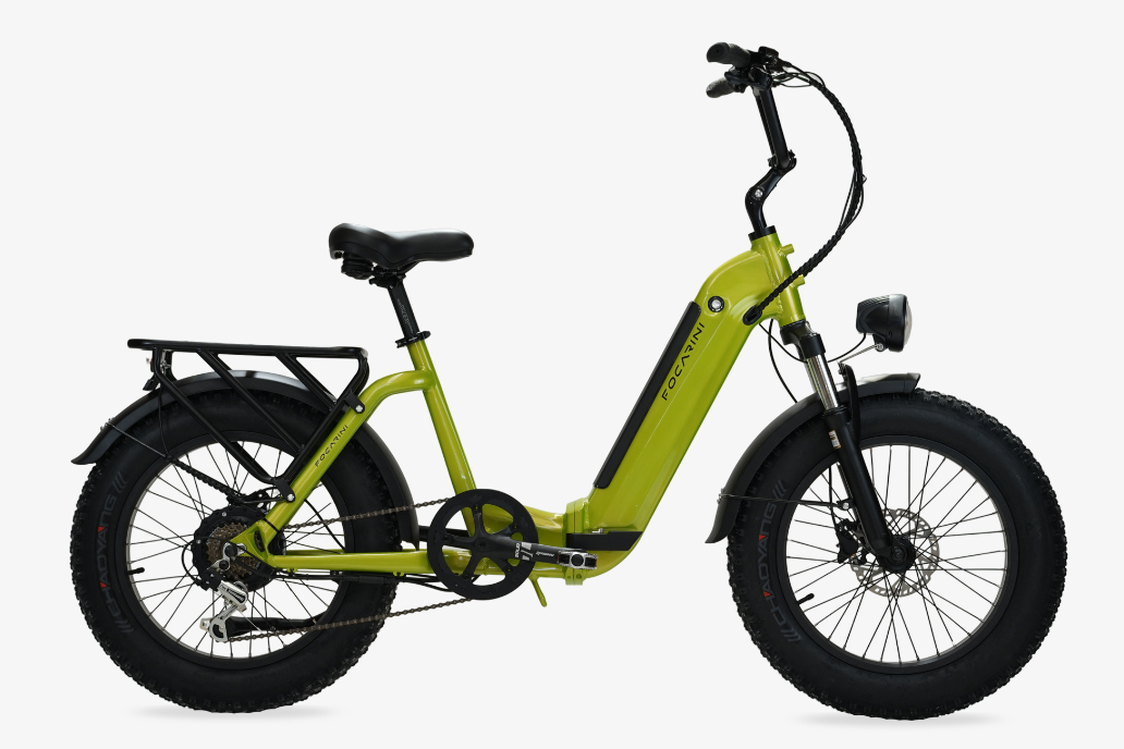 greenbike pesaro-assistenza ebike pesaro-bici elettriche fat bike-Focarini-Panda 20