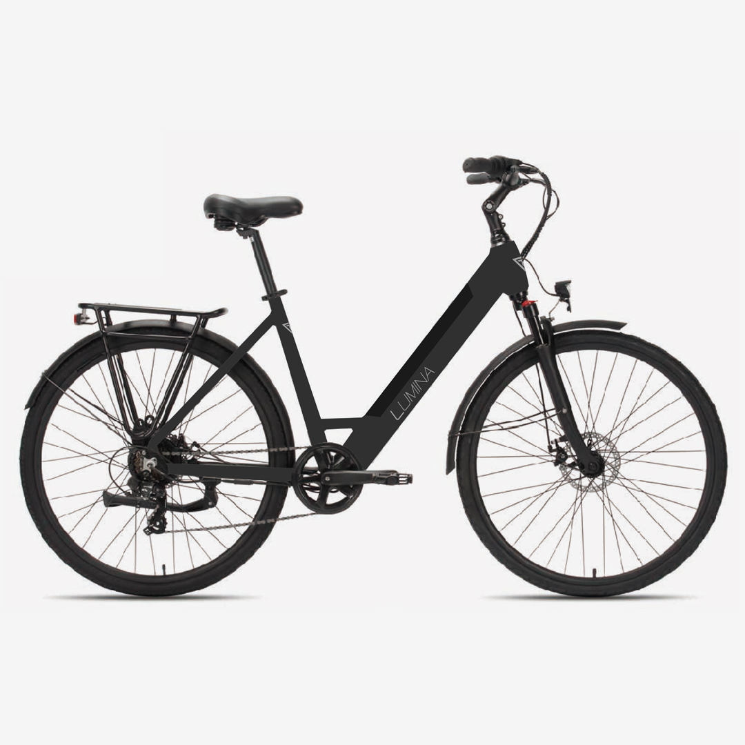 greenbike pesaro-service point ebikes-assistenza bici pesaro-GTA-Lumina 28