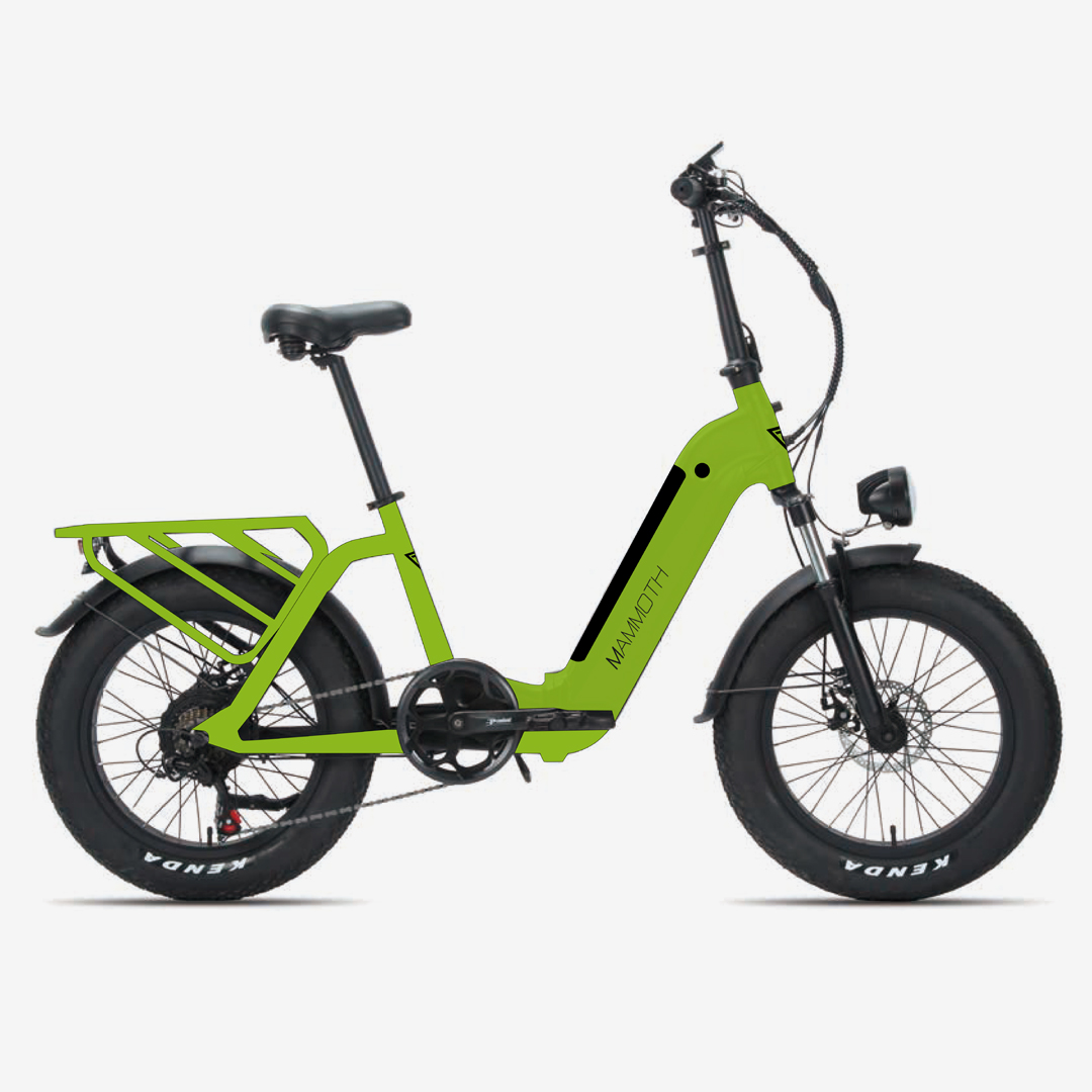 greenbike pesaro-assistenza fat bike pesaro-riparazioni bici pesaro-GTA-Mammoth 20 fat bike
